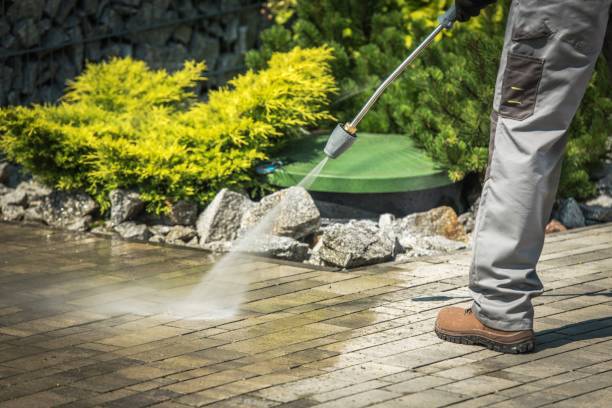 Best Machinery and Equipment Cleaning  in Walnut Park, CA